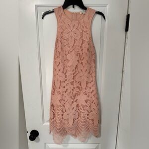 Francesca’s Collections Elegant Pink Lace Dress